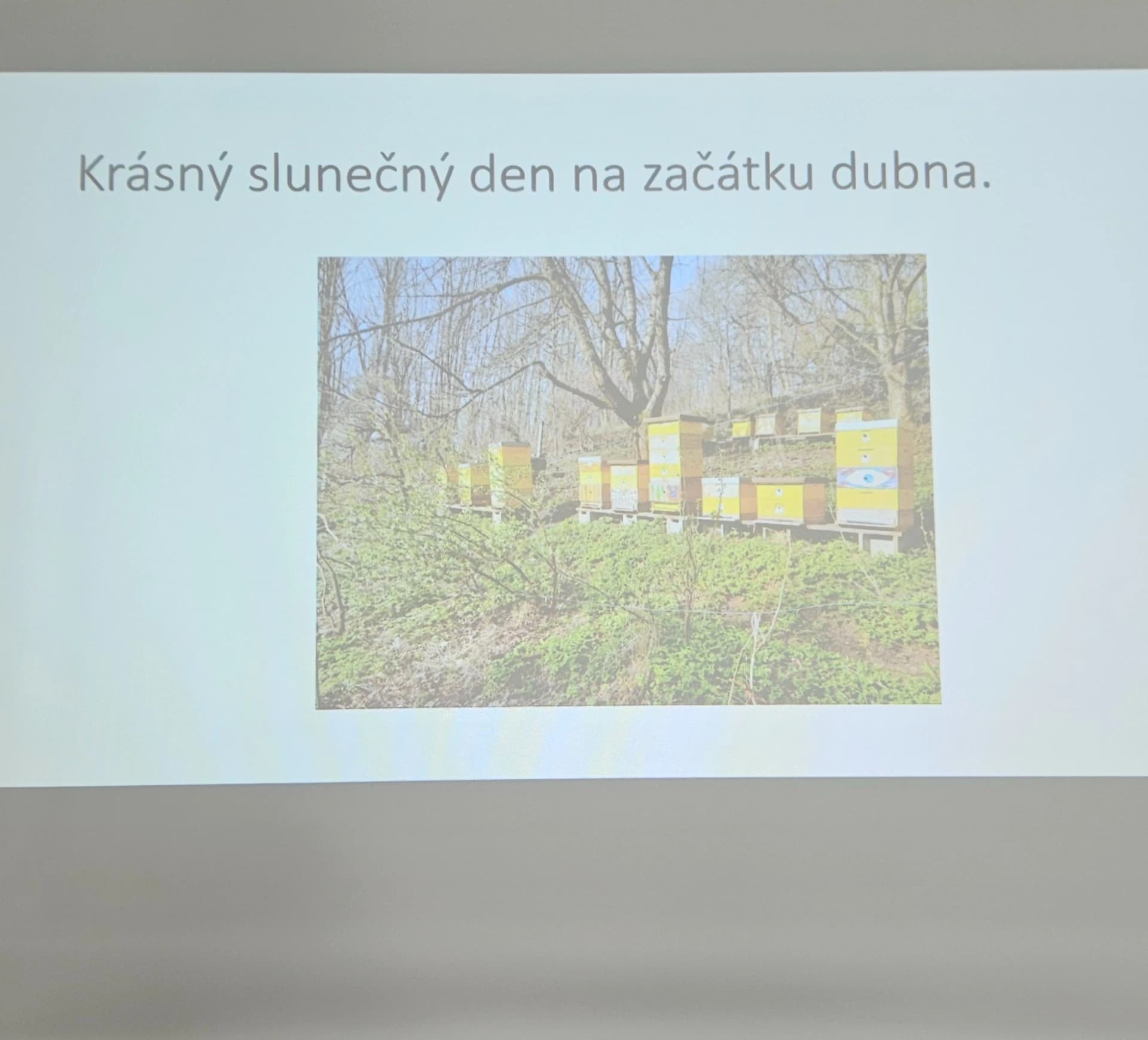 3. dubna 2025 — fotografie 4 z 4