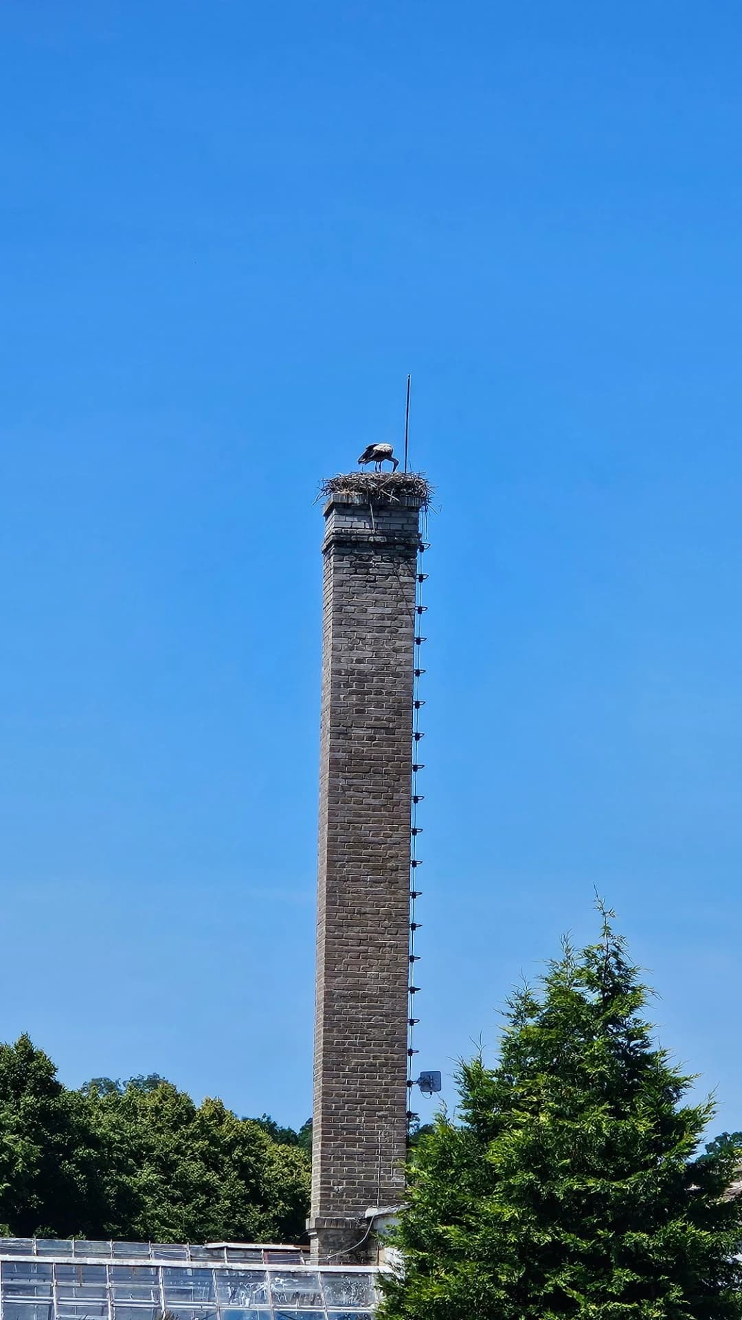 21. června 2025 — fotografie 7 z 9